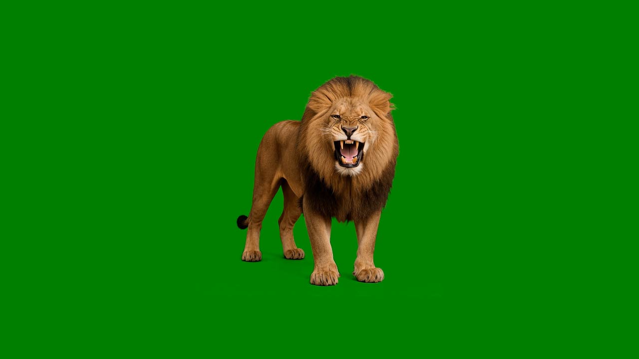 img04
